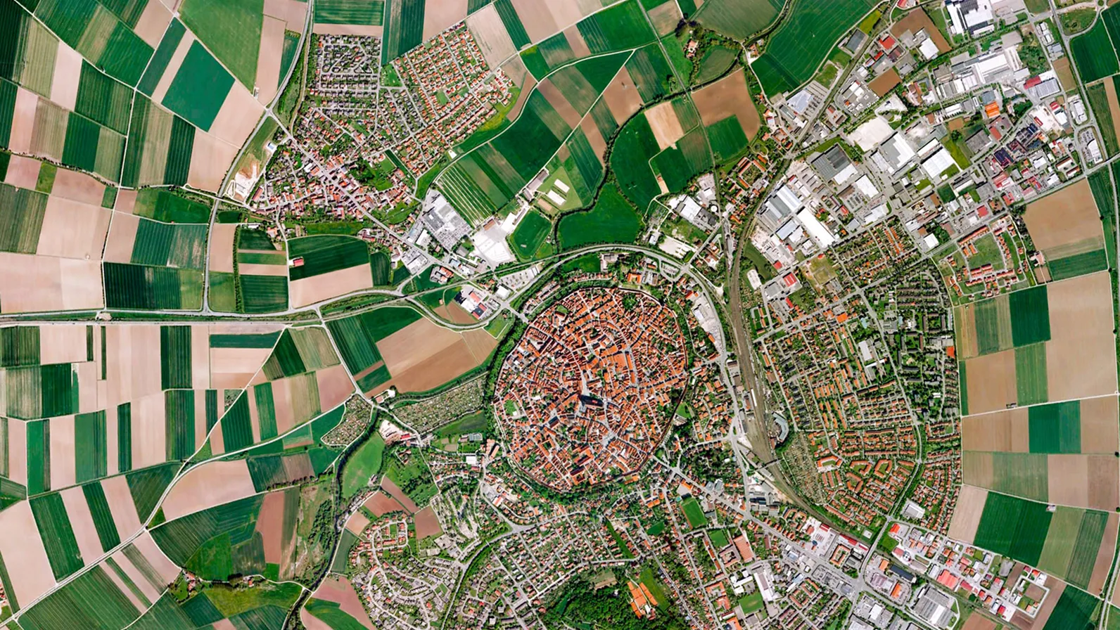Population Dynamics Insights